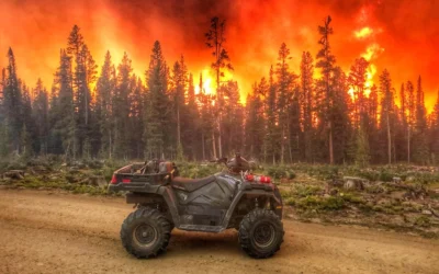 Adobe Firefly: Innovación y Creatividad en la Generación de Videos con Inteligencia Artificial