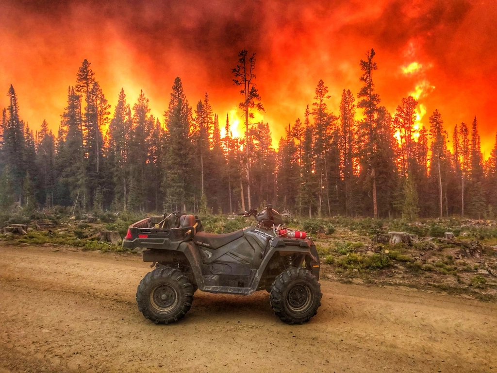 Wildcard - USFWS 2022 Photo/Video